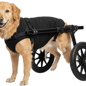 Custom carts for dogs Veterinary prosthetic orthotics specialist UK Best prosthetics and orthotics for animal